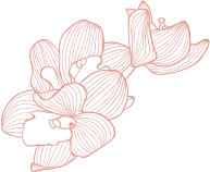 flower_page